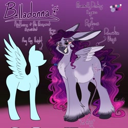 Size: 2048x2048 | Tagged: safe, artist:unfinishedheckery, oc, oc only, oc:belladonna, donkey, hybrid, pegasus, pony, bedroom eyes, chubby, digital art, female, floppy ears, high res, mare, reference sheet, solo, spread wings, tail, text, wings