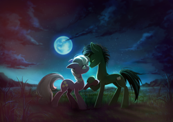 Size: 1390x982 | Tagged: oc name needed, safe, artist:skyeypony, cheerilee, oc, earth pony, pony, g4, canon x oc, detailed background, duo, female, holding hooves, looking into each others eyes, mare, moon, night