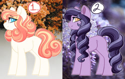 Size: 1024x647 | Tagged: safe, artist:purplegrim40, oc, oc only, earth pony, pony, duo, earth pony oc, female, mare, smiling