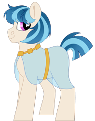 Size: 1249x1586 | Tagged: safe, artist:moonert, oc, oc only, earth pony, pony, clothes, earth pony oc, male, simple background, solo, stallion, transparent background