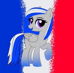 Size: 720x712 | Tagged: safe, oc, oc only, earth pony, flag, france, solo