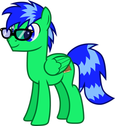 Size: 1157x1259 | Tagged: safe, artist:eclipsethings, oc, oc only, oc:doc anubis, pegasus, pony, closed mouth, folded wings, full body, glasses, hooves, male, pegasus oc, show accurate, simple background, smiling, solo, stallion, stallion oc, standing, tail, transparent background, two toned mane, two toned tail, vector, wings