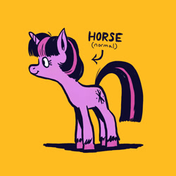 Size: 2048x2048 | Tagged: safe, artist:horsewizardart, twilight sparkle, pony, unicorn, g4, arrow, female, high res, mare, normal, simple background, solo, text, unicorn twilight, unshorn fetlocks, yellow background