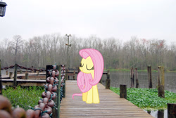 Size: 2896x1944 | Tagged: safe, artist:erccre147, artist:mlplover94, fluttershy, pegasus, pony, g4, eyes closed, female, florida, high res, irl, jacksonville, mare, outdoors, photo, ponies in real life, smiling, solo, standing