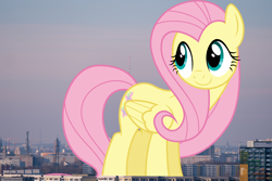 Size: 3000x2000 | Tagged: safe, artist:dashiesparkle, artist:thegiantponyfan, fluttershy, pegasus, pony, g4, berlin, female, folded wings, germany, giant pegasus, giant pony, giantess, giantshy, high res, highrise ponies, irl, macro, mare, mega giant, photo, ponies in real life, smiling, solo, wings