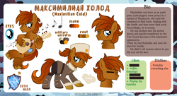 Size: 1200x655 | Tagged: safe, artist:jennieoo, oc, oc:maximilian cold, pony, balalaika, confused, cutie mark, cyrillic, guitar, irritated, musical instrument, poker face, reference, reference sheet, russian, show accurate, simple background, snowpony, solo, vector