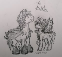 Size: 640x584 | Tagged: safe, artist:purple-blep, oc, oc only, oc:keylime, oc:neem, bat pony, butterfly, cat, pegasus, pony, unicorn, bat pony oc, duo, monochrome, sketch, traditional art