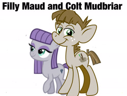 Size: 2048x1536 | Tagged: artist needed, safe, edit, maud pie, mudbriar, earth pony, pony, g4, the maud couple, age regression, boyfriend and girlfriend, colt, colt mudbriar, cute, female, filly, filly maud pie, foal, looking at you, male, ship:maudbriar, shipping, simple background, straight, white background, younger