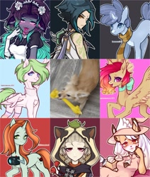 Size: 1500x1767 | Tagged: safe, artist:hennessi83, crackle cosette, queen chrysalis, oc, human, pegasus, pony, unicorn, g4, art vs artist, camera, clothes, coat markings, collage, disguised changeling, female, genshin impact, horn, irl, irl dog, jumper, male, neck bow, pegasus oc, photo, sayu (genshin impact), scarf, socks, spread wings, unicorn oc, wings, xiao (genshin impact)