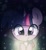 Size: 841x914 | Tagged: source needed, safe, artist:silver meadow, twilight sparkle, firefly (insect), insect, pony, g4, female, solo