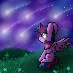Size: 768x768 | Tagged: safe, artist:silver meadow, twilight sparkle, alicorn, pony, g4, butt, female, mare, night, plot, shooting star, sitting, solo, starry night, stars, twilight sparkle (alicorn)