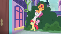 Size: 3410x1920 | Tagged: safe, screencap, apple bloom, scootaloo, sweetie belle, earth pony, pegasus, pony, unicorn, g4, marks for effort, season 8, :p, belly, bipedal, cutie mark crusaders, female, filly, foal, high res, nose in the air, open mouth, school of friendship, smiling, spread wings, tongue out, trio, wings