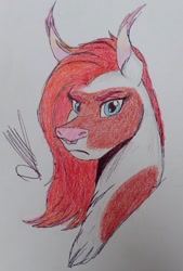 Size: 691x1024 | Tagged: safe, artist:discbreaker100, oc, oc only, oc:gisarme peculiar, bat pony, bust, commission, female, mare, portrait, skewbald, solo, traditional art
