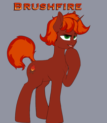 Size: 4000x4600 | Tagged: safe, artist:sketchy knight, oc, oc only, oc:brushfire, hoof on chin, raised eyebrow, reference sheet, smiling