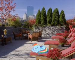 Size: 1280x1024 | Tagged: safe, artist:mlplover94, rainbow dash, pegasus, pony, g4, boston, chair, eyes closed, female, irl, mare, massachusetts, open mouth, photo, ponies in real life, rooftop, sleeping, sleepydash