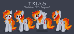 Size: 2750x1300 | Tagged: safe, artist:tridashie, oc, oc only, oc:tridashie, pegasus, pony, butt, closed mouth, female oc, flying, gray background, multiple views, pegasus oc, plot, reference sheet, simple background, smiling, solo, standing