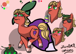 Size: 2100x1500 | Tagged: safe, artist:hemlock conium, sprout cloverleaf, earth pony, pony, g5, clothes, digital art, male, reference sheet, simple background, simple shading, solo, stallion, tank (vehicle)