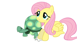 Size: 3000x1688 | Tagged: safe, artist:totalcrazyness101, fluttershy, tank, pegasus, pony, tortoise, g4, duo, female, mare, simple background, transparent background, vector