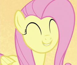 Size: 617x517 | Tagged: safe, screencap, fluttershy, pegasus, pony, all bottled up, g4, season 7, best friends until the end of time, cropped, cute, eyes closed, female, mare, shyabetes, simple background, smiling, solo, yellow background