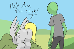 Size: 1637x1080 | Tagged: safe, artist:happy harvey, derpy hooves, oc, oc:anon, human, pegasus, pony, g4, asking for help, away from viewer, bubble butt, bush, butt, buttstuck, dialogue, female, grass, help me, hill, male, mare, phone drawing, plot, presenting, spread wings, stuck, tail, tail aside, wings