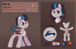 Size: 2800x1800 | Tagged: safe, artist:raily, oc, oc only, pegasus, pony, reference sheet, solo