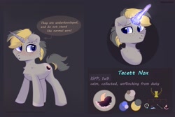 Size: 2364x1578 | Tagged: safe, artist:raily, oc, oc only, pony, unicorn, reference sheet, solo
