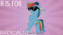 Size: 1280x720 | Tagged: safe, edit, edited screencap, editor:quoterific, screencap, rainbow dash, pegasus, pony, g4, may the best pet win, season 2, 20% cooler, alphabet, bipedal, crossed hooves, deal with it, female, glasses, mare, pink background, reference, simple background, solo