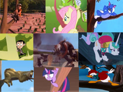Size: 2048x1536 | Tagged: source needed, safe, edit, edited screencap, screencap, fluttershy, princess celestia, twilight sparkle, alicorn, bird, cat, duck, gungan, human, pegasus, pony, sloth, squirrel, between dark and dawn, g4, season 2, season 9, secret of my excess, starlight the hypnotist, spoiler:interseason shorts, angry, bare hooves, coincidence i think not, comparison, donald duck, female, floppy ears, ice age, in a tree, jar jar binks, male, mr bean, penguins of madagascar, ponytail, scared, scaredlestia, sid the sloth, sleeping, star wars, tom and jerry, tom cat, tree, tree branch, twilight sparkle (alicorn)