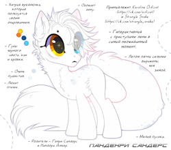 Size: 1726x1522 | Tagged: safe, artist:strangle12, oc, oc only, cat, cat pony, earth pony, original species, pony, base used, cyrillic, ear fluff, earth pony oc, eyelashes, female, heterochromia, looking back, mare, reference sheet, russian, simple background, smiling, solo, starry eyes, translation request, white background, wide eyes, wingding eyes