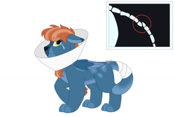Size: 1280x854 | Tagged: safe, artist:itstechtock, oc, oc:hisan, ahuizotl (species), hybrid, broken tail, crack ship offspring, elizabethan collar, interspecies offspring, offspring, parent:ahuizotl, parent:somnambula, simple background, solo, white background, x-ray