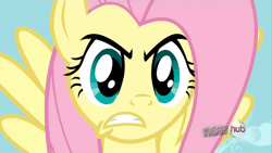 Size: 1920x1080 | Tagged: safe, screencap, fluttershy, pegasus, pony, g4, keep calm and flutter on, season 3, 1080p, angry, animated, badass, blinking, close-up, eye shimmer, female, flutterbadass, gif, gritted teeth, mare, solo, speed lines, stare, teeth, the stare