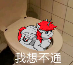 Size: 720x639 | Tagged: safe, artist:tx547, oc, oc:ericken, alicorn, pony, behaving like a cat, but why, chinese, chinese meme, glasses, meme, pun, text, toilet, translated in the description
