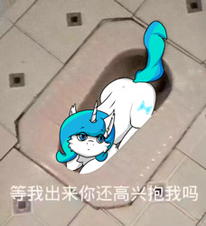 Size: 500x549 | Tagged: safe, artist:tx547, oc, oc:time slowly, pony, unicorn, behaving like a cat, but why, caption, chinese, dirty, image macro, looking at you, squatting toilet, text, toilet, translated in the description