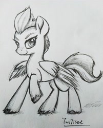 Size: 3120x3882 | Tagged: safe, artist:twiliset, zipp storm, pegasus, pony, g5, spoiler:g5, black and white, confident, cool, grayscale, high res, monochrome, pencil drawing, simple background, smiling, traditional art
