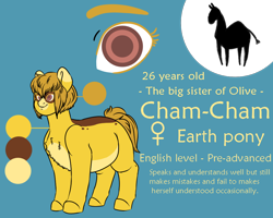 Size: 1000x800 | Tagged: safe, artist:saasart, oc, oc only, oc:cham-cham, earth pony, pony, blue background, brown eyes, brown mane, chubby, cutie mark, earth pony oc, female, mare, markings, multicolored coat, reference sheet, simple background, text, yellow coat