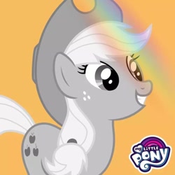 Size: 720x720 | Tagged: safe, applejack, earth pony, pony, g4, my little pony: rainbow roadtrip, official, monochrome, profile picture, solo