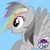 Size: 720x720 | Tagged: safe, rainbow dash, pegasus, pony, g4, my little pony: rainbow roadtrip, official, monochrome, profile picture, solo