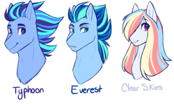 Size: 2000x1200 | Tagged: safe, artist:purplegrim40, oc, oc only, oc:clear skies, oc:everest, oc:typhoon, pony, bio in description, bust, female, half-siblings, male, mare, offspring, parent:rainbow dash, parent:soarin', parent:thunderlane, parents:soarindash, parents:thunderdash, siblings, simple background, smiling, stallion, white background