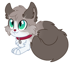 Size: 1248x1096 | Tagged: safe, artist:lupulrafinat, oc, oc only, cat, chest fluff, collar, ear fluff, show accurate, simple background, smiling, transparent background