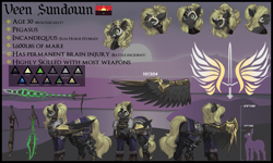 Size: 5000x3000 | Tagged: safe, artist:nsilverdraws, artist:veen, oc, oc only, oc:aalst the blade of society, oc:astral moonsyde, oc:veen sundown, horse, pegasus, pony, unicorn, abstract, abstract background, armor, backstory, backstory in description, bio in description, blackletter, blonde, chest fluff, clothes, cute, cutie mark, dork, ear piercing, expressions, female, flag, fluffy, happy, helmet, high res, jewelry, laughing, leg fluff, magic, male, mare, mountain, mountain range, name, pegasus oc, piercing, ponytail, reference sheet, scimitar, simple background, size comparison, size difference, smug, solo, spread wings, stallion, standing, startled, sundown clan, sunset, surprised, sword, tail, tail piercing, text, tired, weapon, wing piercing, wings