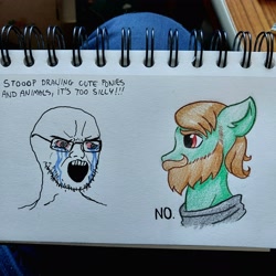 Size: 3056x3056 | Tagged: safe, artist:shubbgurrath, oc, pony, chad, colored pencil drawing, high res, joke, meme, nordic gamer, soyjak, traditional art, vent art, wojak, yes