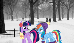 Size: 1920x1110 | Tagged: safe, artist:luckreza8, artist:mlplover94, artist:slb94, rainbow dash, twilight sparkle, alicorn, pegasus, pony, g4, central park, clothes, duo, earmuffs, female, hat, irl, looking at each other, looking at someone, mare, new york, open mouth, photo, ponies in real life, scarf, smiling, twilight sparkle (alicorn), winter outfit