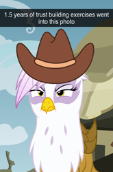 Size: 1493x2261 | Tagged: safe, artist:badumsquish, derpibooru exclusive, gilda, griffon, g4, angry, cowboy hat, cute, female, folded wings, frown, gilda is not amused, glare, griffonstone, grumpy, hat, madorable, ponified animal photo, show accurate, solo, unamused, wings