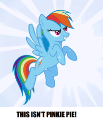 Size: 692x828 | Tagged: safe, rainbow dash, pegasus, pony, g4, captain obvious, implied pinkie pie, meme, op is right, solo, yes