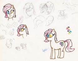 Size: 2363x1869 | Tagged: safe, artist:elidiotadelaesquina, oc, oc only, oc:kurntis, earth pony, pony, heterochromia, sketch, traditional art