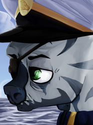 Size: 1281x1724 | Tagged: safe, artist:aaronmk, zebra, equestria at war mod, bust, clothes, eyepatch, hat, ocean, portrait, sky, uniform, water, wave