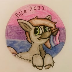 Size: 3024x3024 | Tagged: safe, artist:lil_vampirecj, oc, oc only, oc:cj vampire, earth pony, pony, bisexual pride flag, bisexuality, brown mane, brown tail, chest fluff, colored, demi-bisexual, demi-bisexual pride flag, demisexual, ear fluff, ears up, green eyes, grey fur, high res, holding, holding flag, icon, lgbt, lineart, looking at you, looking back, looking back at you, missing accessory, missing cutie mark, no glasses, pride, pride 2022, pride flag, pride month, pride month 2022, purple tail highlight, shading, smiling, smiling at you, solo, standing on two hooves, tail, traditional art, unshorn fetlocks