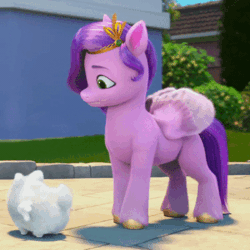 Size: 400x400 | Tagged: safe, screencap, cloudpuff, pipp petals, dog, flying pomeranian, pegasus, pomeranian, pony, g5, my little pony: make your mark, my little pony: make your mark chapter 1, spoiler:my little pony: make your mark, adorapipp, animated, barking, cute, female, gif, head tilt, looking down, male, mare, tail, tail wag, winged dog