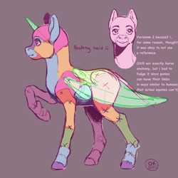Size: 1200x1200 | Tagged: safe, artist:socialgutbrain777, derpibooru exclusive, edit, editor:socialgutbrain777, oc, oc:any pony, pony, ambiguous gender, anatomy, anatomy guide, any species, blank flank, colorful, comic sans, hoers, misspelling, practice drawing, semi-realistic, solo, updated, updated image