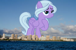 Size: 2048x1365 | Tagged: safe, artist:fruft, artist:thegiantponyfan, fond feather, pegasus, pony, g4, bow, female, giant pegasus, giant pony, giantess, hair bow, hawaii, highrise ponies, honolulu, irl, macro, mare, mega giant, photo, ponies in real life, tail, tail bow